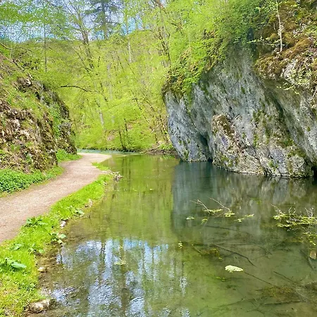 Lägenhet Am Kappenturm Hayingen
